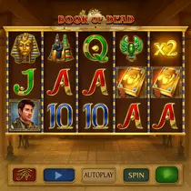 Slota - Book of Dead Slot Game - Play'n GO